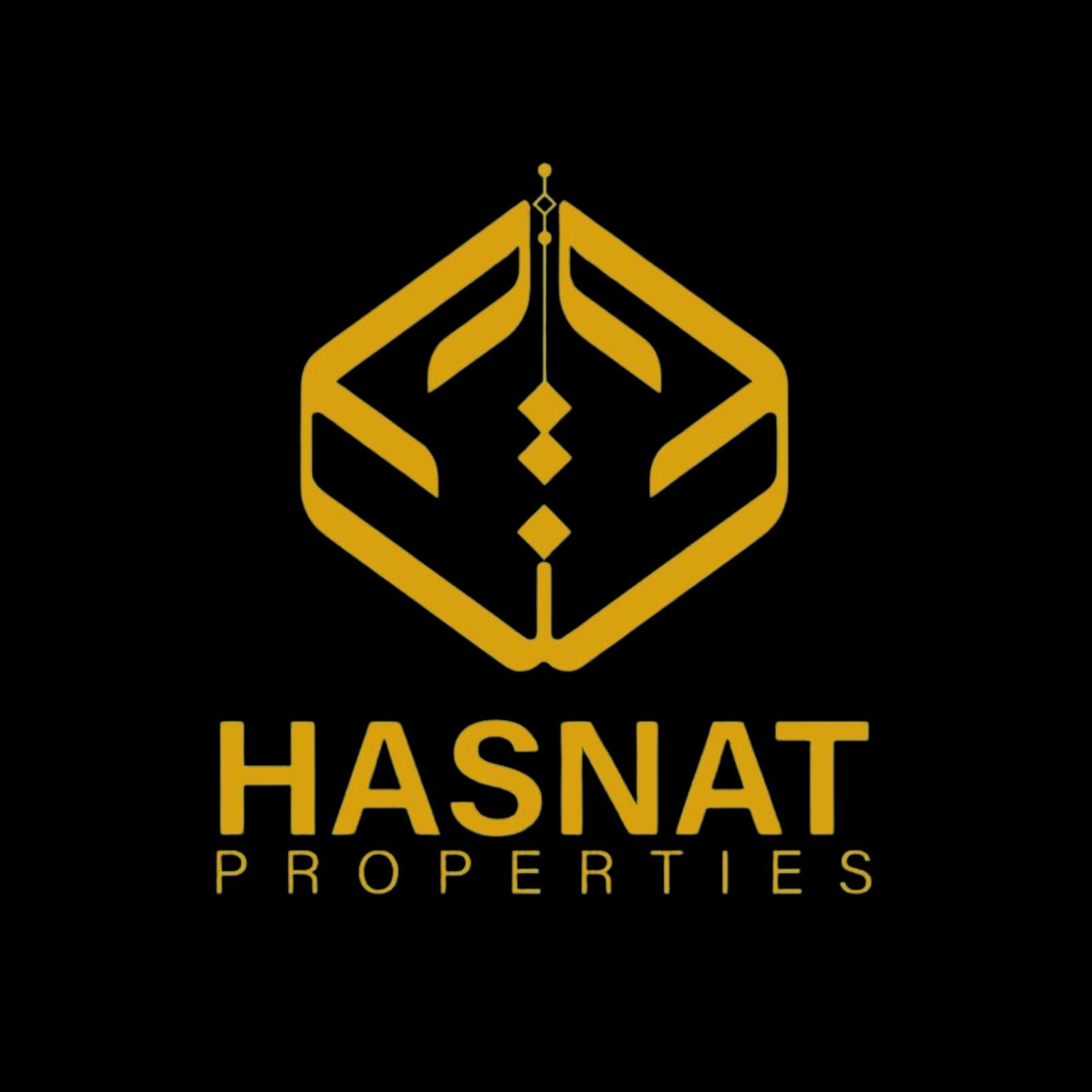 Mr.Hasnat Properties Logo